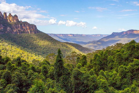 All-Inclusive Blue Mountains Day Trip With River Cruise - Your Accommodation 28