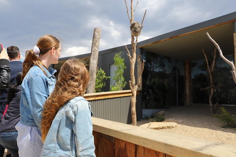 All-Inclusive Blue Mountains Day Trip With River Cruise - Your Accommodation 23