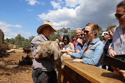 All-Inclusive Blue Mountains Day Trip With River Cruise - Your Accommodation 27