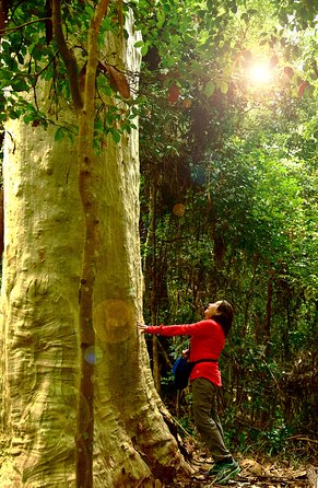 3 Day Murramarang Coast Journey From Batemans Bay With Meals And Villa Accom - Your Accommodation 4