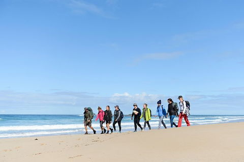 3 Day Murramarang Coast Journey From Batemans Bay With Meals And Villa Accom - Your Accommodation 7