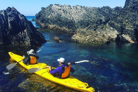 Half Day Sea Kayak Tour From Batemans Bay - Your Accommodation 1