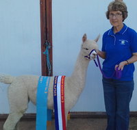 Marchmont Park Alpacas - Your Accommodation