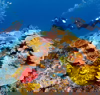 Agincourt Reef - Your Accommodation