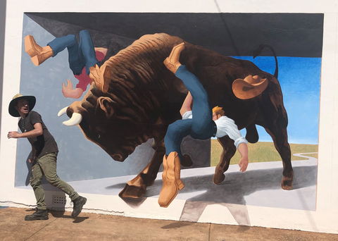 Big Bull Mural - Your Accommodation 0
