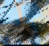 Castle Creek Reserve - Your Accommodation