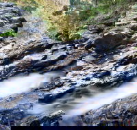 Casuarina Falls Circuit