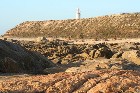 Corny Point Lighthouse - Your Accommodation 0