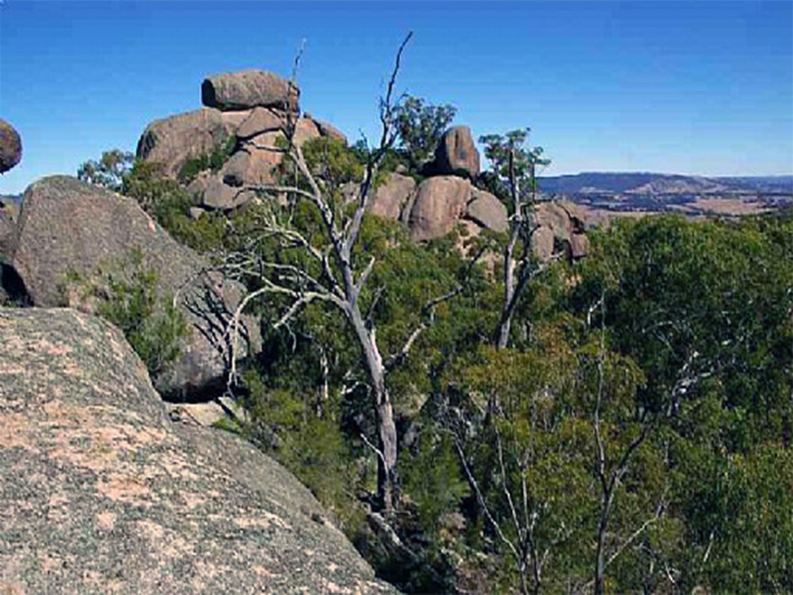 Tarana NSW Your Accommodation