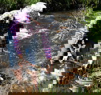 Fossicking - Your Accommodation