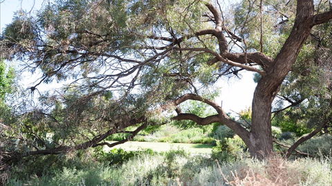 Gathercole Nature Reserve - Your Accommodation 0