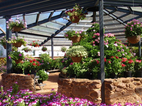 Geelong Botanic Gardens - Your Accommodation 1