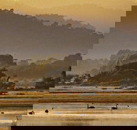 Greens Beach - Your Accommodation