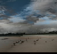 Hardwicke Bay - Your Accommodation