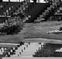 Hunter Valley Zoo - Your Accommodation