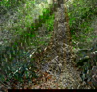 Iluka Nature Reserve - Your Accommodation