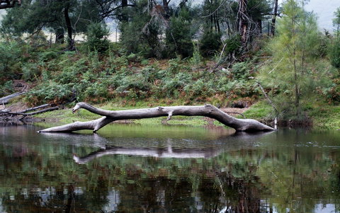 Kayaking Upper Tuross River And Bumbo Lake - Your Accommodation 0