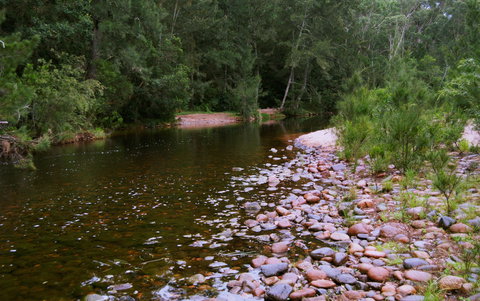 Kayaking Upper Tuross River And Bumbo Lake - Your Accommodation 1