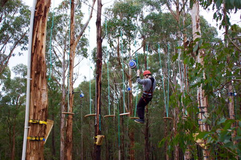 Kinglake Forest Adventures - Your Accommodation 0