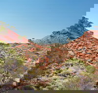 Lark Quarry Conservation Park - Your Accommodation