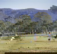 Megalong Valley - Your Accommodation