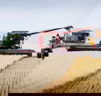 Mullaley - Your Accommodation