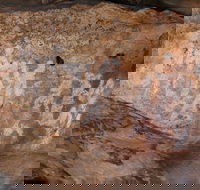 Ngamadjidj Shelter - Wartook Valley - Your Accommodation