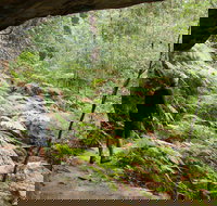 Old Great North Road Bike Ride - Your Accommodation