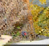 Old Great North Road - World Heritage Walk - Your Accommodation