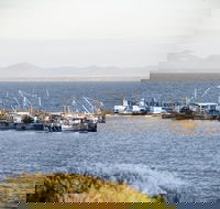 Portarlington - Your Accommodation