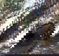 PS Providence historic site - Your Accommodation