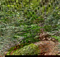 Red Cedar Loop - Your Accommodation