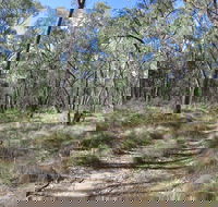 Reef Hills State Park - Your Accommodation