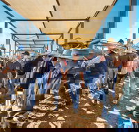 Roma - Your Accommodation