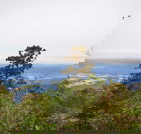 Slingsbys Trail and Syndicate Ridge Track - Your Accommodation