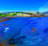 Snorkelling Montague Island - Your Accommodation