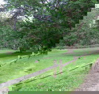 St Albans Reserve - Your Accommodation