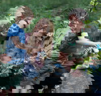 Tamworth Marsupial Park and Adventure Playground - Your Accommodation