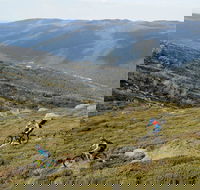 Thredbo Mountain Biking - Your Accommodation