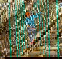 Trees Adventure Yeodene Park - Your Accommodation