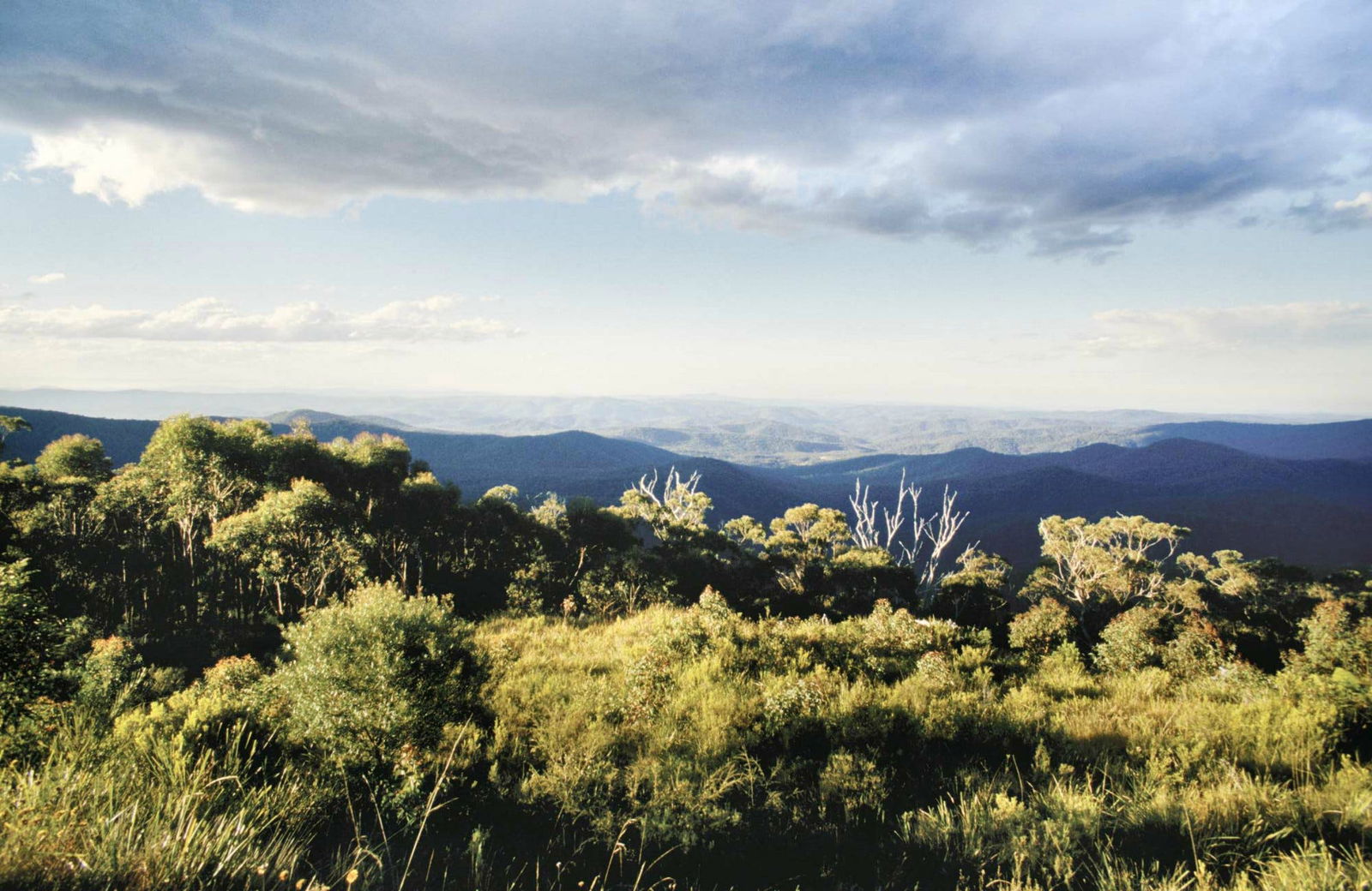 Clouds Creek NSW Your Accommodation