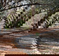 Warrego Floodplain walking track - Your Accommodation