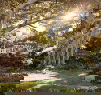 Wendy Whiteley's Secret Garden - Your Accommodation