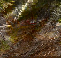 West Coast - Your Accommodation