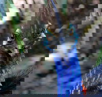 Wildlife Habitat - Your Accommodation