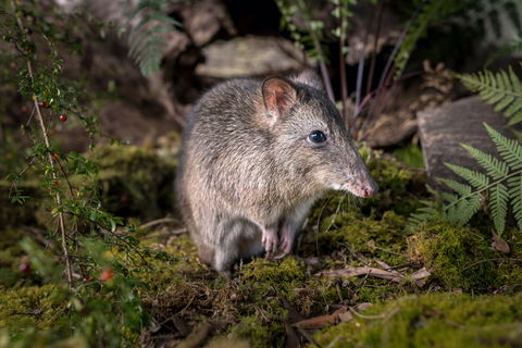Wildlife Wonders - Your Accommodation 0