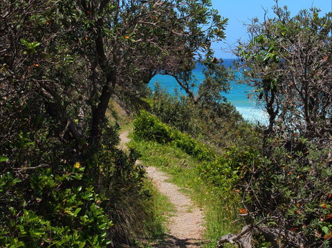 Wilsons Headland - Your Accommodation 1