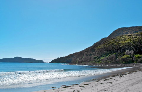 Yacaaba Headland Walking Track - Your Accommodation 0