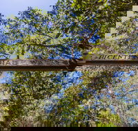 Bribie Island Bicentennial Trails - Your Accommodation