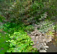 Brindle Creek Picnic Area - Your Accommodation